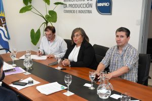 Santa Cruz puso en marcha el Boleto Estudiantil Gratuito que beneficia a más de 15 mil estudiantes