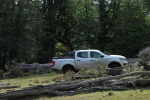 Control forestal en Tucu Tucu: el CAP refuerza fiscalización y advierte sobre sanciones