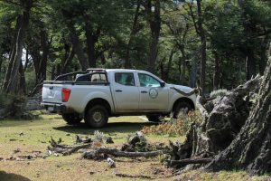 Control forestal en Tucu Tucu: el CAP refuerza fiscalización y advierte sobre sanciones
