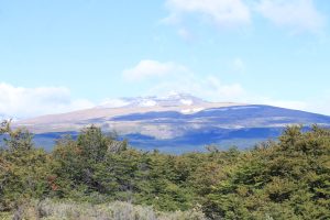 Control forestal en Tucu Tucu: el CAP refuerza fiscalización y advierte sobre sanciones