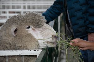 Martínez: “Hay que seguir construyendo una Santa Cruz más grande y productiva”