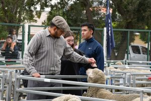 Martínez: “Hay que seguir construyendo una Santa Cruz más grande y productiva”