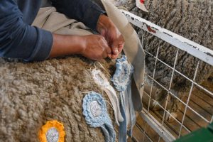 Adrián Suárez: “Sabemos que cuando crece el campo, crece Santa Cruz"