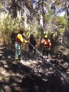 Brigadistas de Santa Cruz seguirán combatiendo el mayor incendio de Neuquén