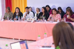 Concretaron sesión del Consejo Provincial de las Mujeres y Diversidades en Jaramillo
