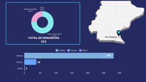 Sistema Integral de Denuncias: un panorama detallado de la violencia de género y familiar en Río Gallegos
