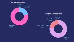 Sistema Integral de Denuncias: un panorama detallado de la violencia de género y familiar en Río Gallegos