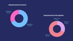 Sistema Integral de Denuncias: un panorama detallado de la violencia de género y familiar en Río Gallegos