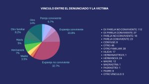 Sistema Integral de Denuncias: un panorama detallado de la violencia de género y familiar en Río Gallegos