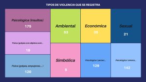 Sistema Integral de Denuncias: un panorama detallado de la violencia de género y familiar en Río Gallegos