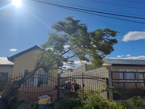 Decenas de intervenciones de bomberos por el fuerte temporal de viento en Santa Cruz