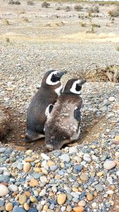 Santa Cruz recibió a periodistas e influencers en la primera jornada del Fam Press