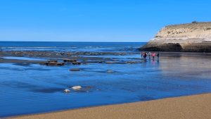 Santa Cruz continúa con el Fam Press: visita a la Estancia y Parque Nacional Monte León