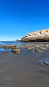 Santa Cruz continúa con el Fam Press: visita a la Estancia y Parque Nacional Monte León