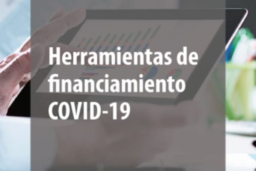 Promueven financiamiento para micro, pequeñas y medianas empresas de Santa Cruz