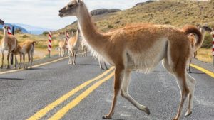 Consejo Agrario Provincial: trabajo conjunto para fortalecer la producción y afrontar desafíos