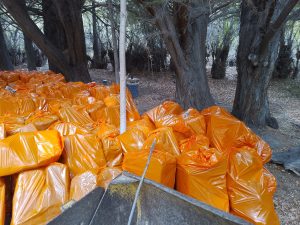 Gestión responsable de envases en Los Antiguos