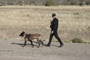 El Ministerio de Seguridad refuerza controles viales