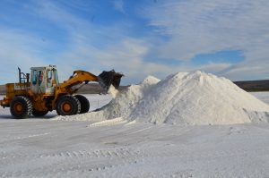 Planificación Plan Invernal 2025: Cosecha, acopio y distribución de sal para Santa Cruz