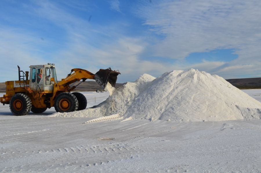 Planificación Plan Invernal 2025: Cosecha, acopio y distribución de sal para Santa Cruz