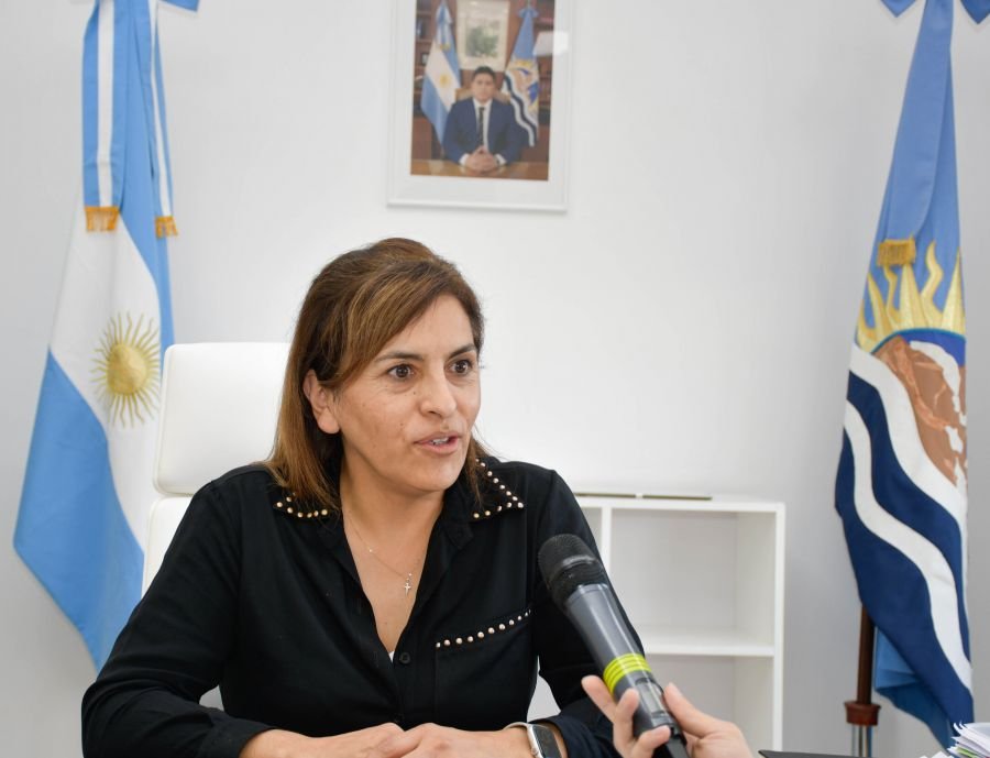 Rasgido: “Queremos que nuestros profesionales santacruceños trabajen en la provincia”