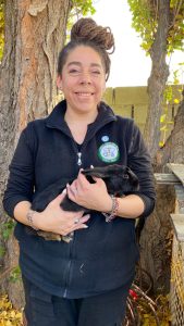 Lanzan campaña de adopción responsable de conejos en Santa Cruz