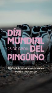 Santa Cruz celebrará el Día Internacional del Pingüino con una jornada de sensibilización en Río Gallegos