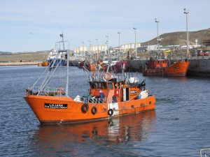 El barco Liliana trajo su producción para los santacruceños