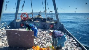 El barco Liliana trajo su producción para los santacruceños