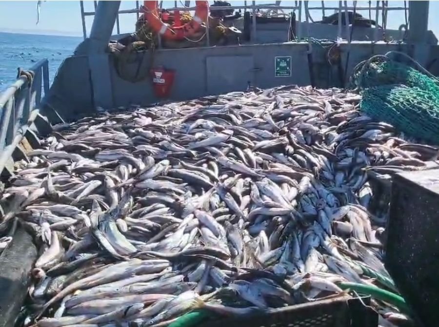 El barco Liliana trajo su producción para los santacruceños