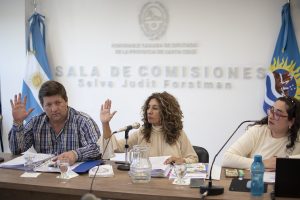 Martínez explicó a los diputados los beneficios del proyecto para reactivar el astillero de Caleta Paula