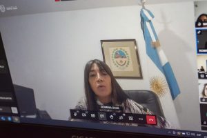 Comenzó la XVI Sesión del Consejo Provincial de Niñez en El Calafate