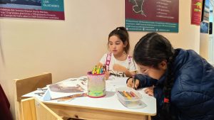 Santa Cruz celebró el Día Internacional del Pingüino con una gran jornada educativa