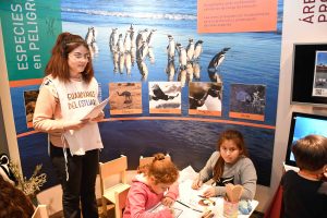 Santa Cruz celebró el Día Internacional del Pingüino con una gran jornada educativa