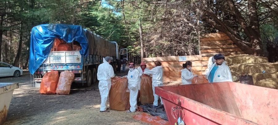 Se realizó la 3° campaña de recepción de envases fitosanitarios en Los Antiguos