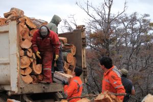 Plan Invernal 2025: el CAP fortalece con aprovechamiento forestal