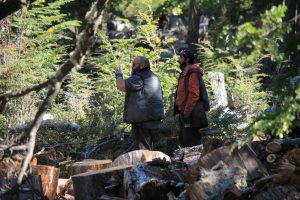 Plan Invernal 2025: el CAP fortalece con aprovechamiento forestal