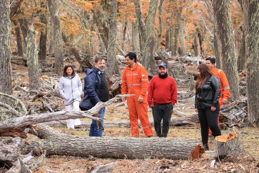 Plan Invernal 2025: el CAP fortalece con aprovechamiento forestal