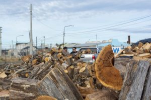 Plan Invernal 2025: El Gobierno de Santa Cruz comenzó con el reparto de leña