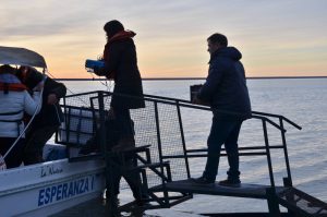 El Consejo Agrario Provincial participó en la primera liberación de ejemplares de Macá Tobiano nacidos en cautiverio