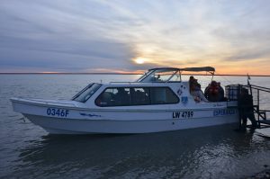 El Consejo Agrario Provincial participó en la primera liberación de ejemplares de Macá Tobiano nacidos en cautiverio