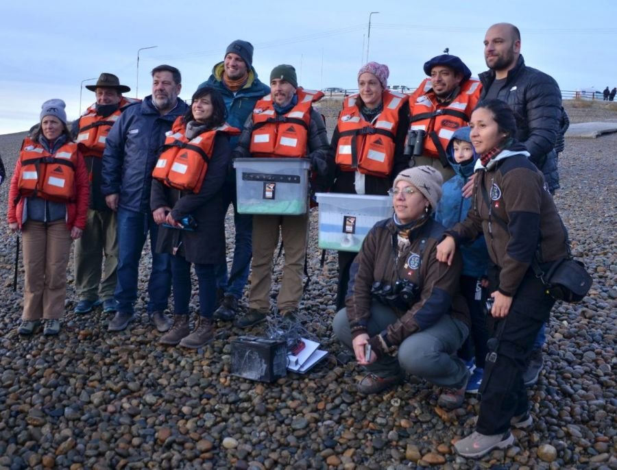 El Consejo Agrario Provincial participó en la primera liberación de ejemplares de Macá Tobiano nacidos en cautiverio