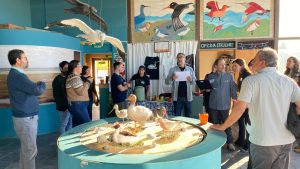 Santa Cruz reafirma su compromiso con la conservación del Chorlito Ceniciento