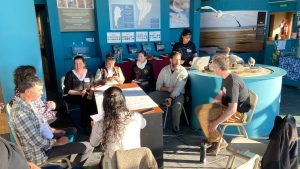 Santa Cruz reafirma su compromiso con la conservación del Chorlito Ceniciento