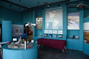 Espino: “Nuestra tarea es preservar y conservar las especies de fauna de Santa Cruz”