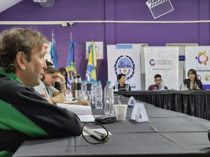 Santa Cruz avanza en la creación del Consejo Provincial de Discapacidad