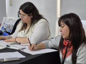 Santa Cruz avanza en la creación del Consejo Provincial de Discapacidad