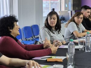 Santa Cruz avanza en la creación del Consejo Provincial de Discapacidad