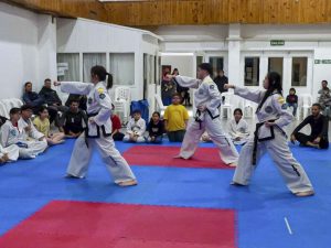 El CIC del Carmen incorpora nuevas propuestas en artes marciales para la comunidad