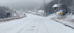 Amplio trabajo de despeje de ruta en 28 de Noviembre